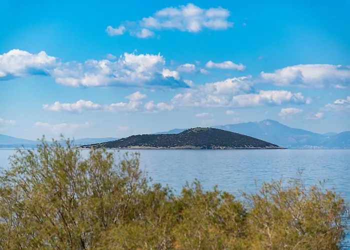 Ο Μόλος