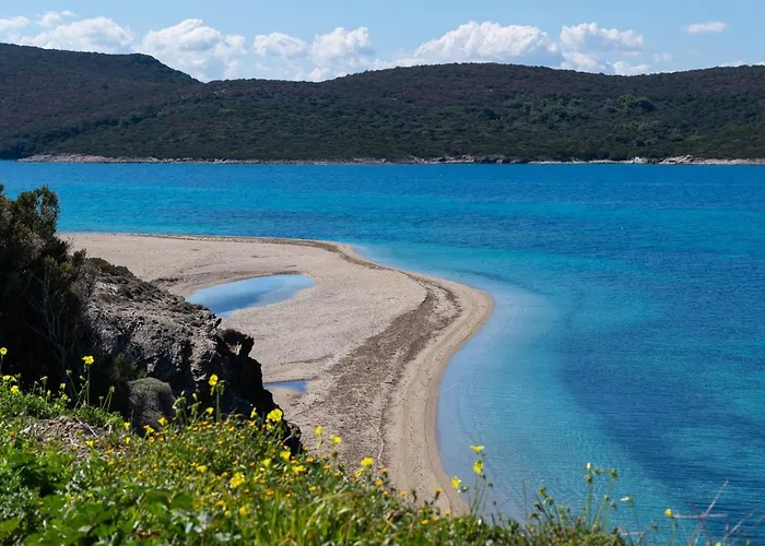 Ο Μόλος
